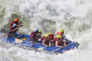 From Kasane: Full-Day White Water Rafting