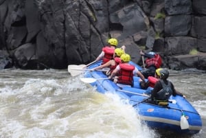 From Kasane: Full-Day White Water Rafting