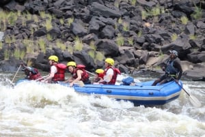 From Kasane: Full-Day White Water Rafting