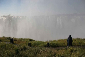 From Livingstone: Day Trip to Victoria Falls, Zimbabwe