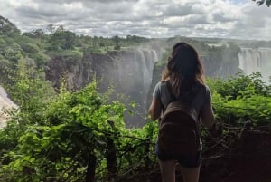 From Livingstone: Day Trip to Victoria Falls, Zimbabwe