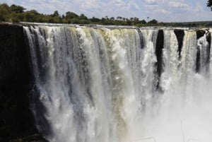 From Livingstone: Day Trip to Victoria Falls, Zimbabwe