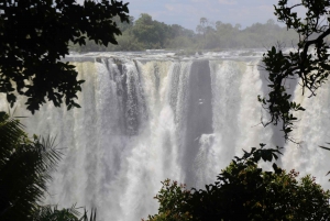 From Livingstone: Day Trip to Victoria Falls, Zimbabwe