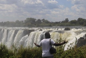 From Livingstone: Day Trip to Victoria Falls, Zimbabwe