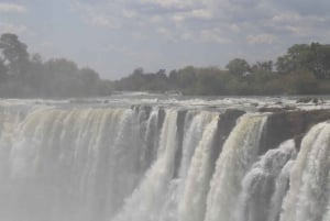 From Livingstone: Day Trip to Victoria Falls, Zimbabwe