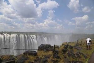 From Livingstone: Day Trip to Victoria Falls, Zimbabwe