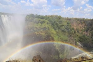 From Livingstone: Day Trip to Victoria Falls, Zimbabwe