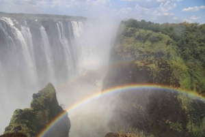 From Livingstone: Day Trip to Victoria Falls, Zimbabwe