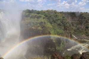 From Livingstone: Day Trip to Victoria Falls, Zimbabwe