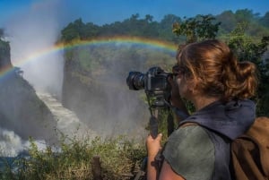 From Livingstone: Victoria Falls Day Trip
