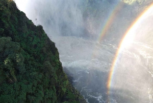From Livingstone: Victoria Falls Guided Half-Day Tour