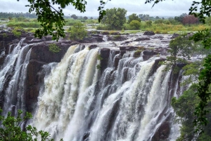 From Livingstone: Victoria Falls Guided Half-Day Tour