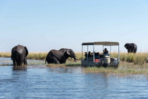 From Livingstone & Victoria Falls: Rafting & Safari Combo