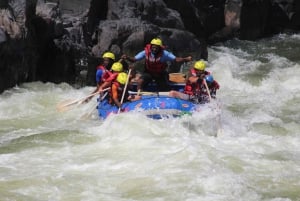 From Livingstone & Victoria Falls: Zambezi Half-Day Rafting