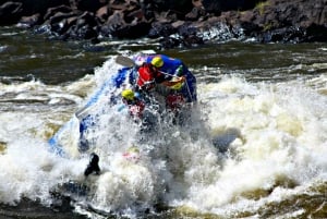 From Livingstone & Victoria Falls: Zambezi Half-Day Rafting