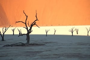 From Namibia to Zimbabwe: 15-Day Guided Lodge Tour