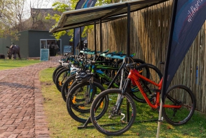 From Victoria Falls: Bicycle Tour