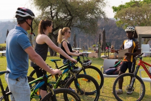 From Victoria Falls: Bicycle Tour