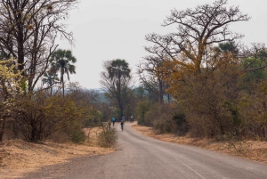 From Victoria Falls: Bicycle Tour
