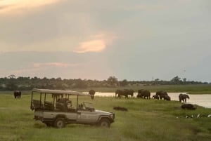 From Victoria Falls Chobe Extended Full Day Safari