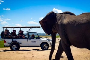 From Victoria Falls: Full Chobe Day trip to Chobe, Botswana