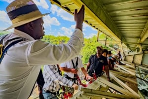 From Victoria Falls: Historical Bridge Tour