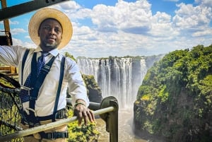 From Victoria Falls: Historical Bridge Tour