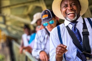 From Victoria Falls: Historical Bridge Tour