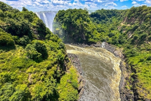 From Victoria Falls: Historical Bridge Tour