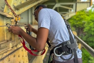 From Victoria Falls: Historical Bridge Tour