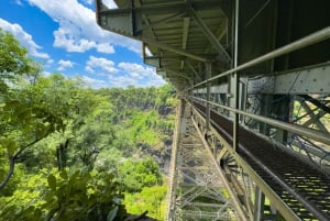 From Victoria Falls: Historical Bridge Tour