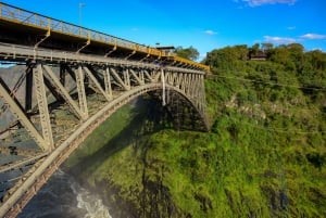 From Victoria Falls: Historical Bridge Tour