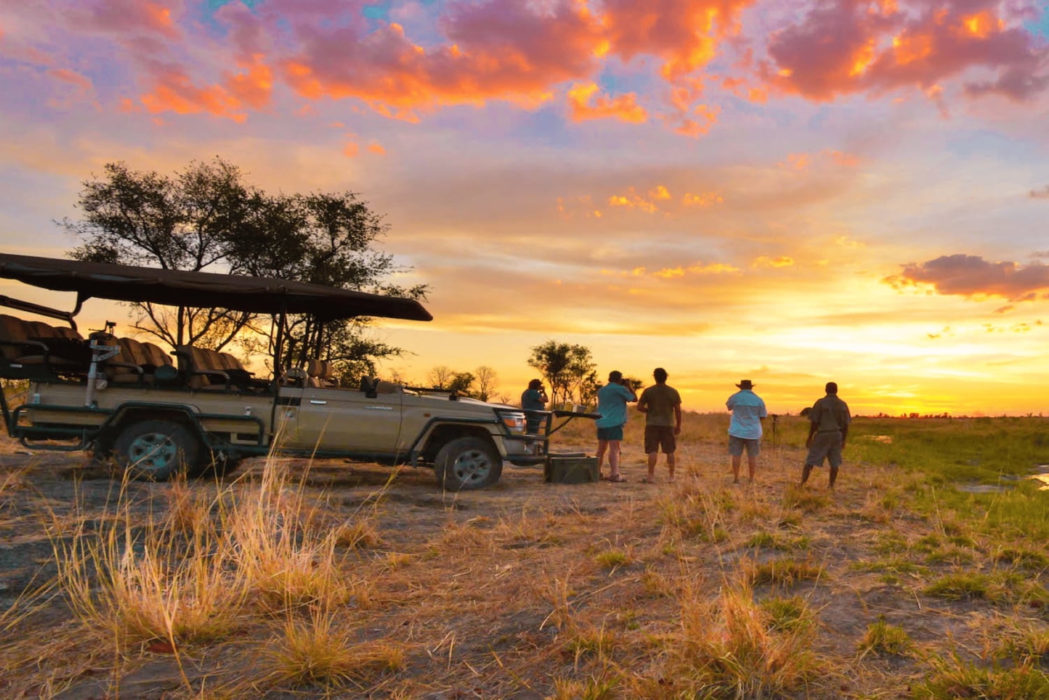 Au départ de Victoria Falls : Safari d'une journée et d'une nuit à Hwange