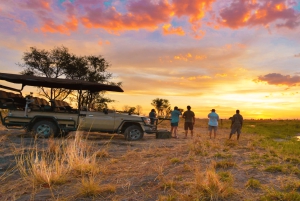 Au départ de Victoria Falls : Safari d'une journée et d'une nuit à Hwange