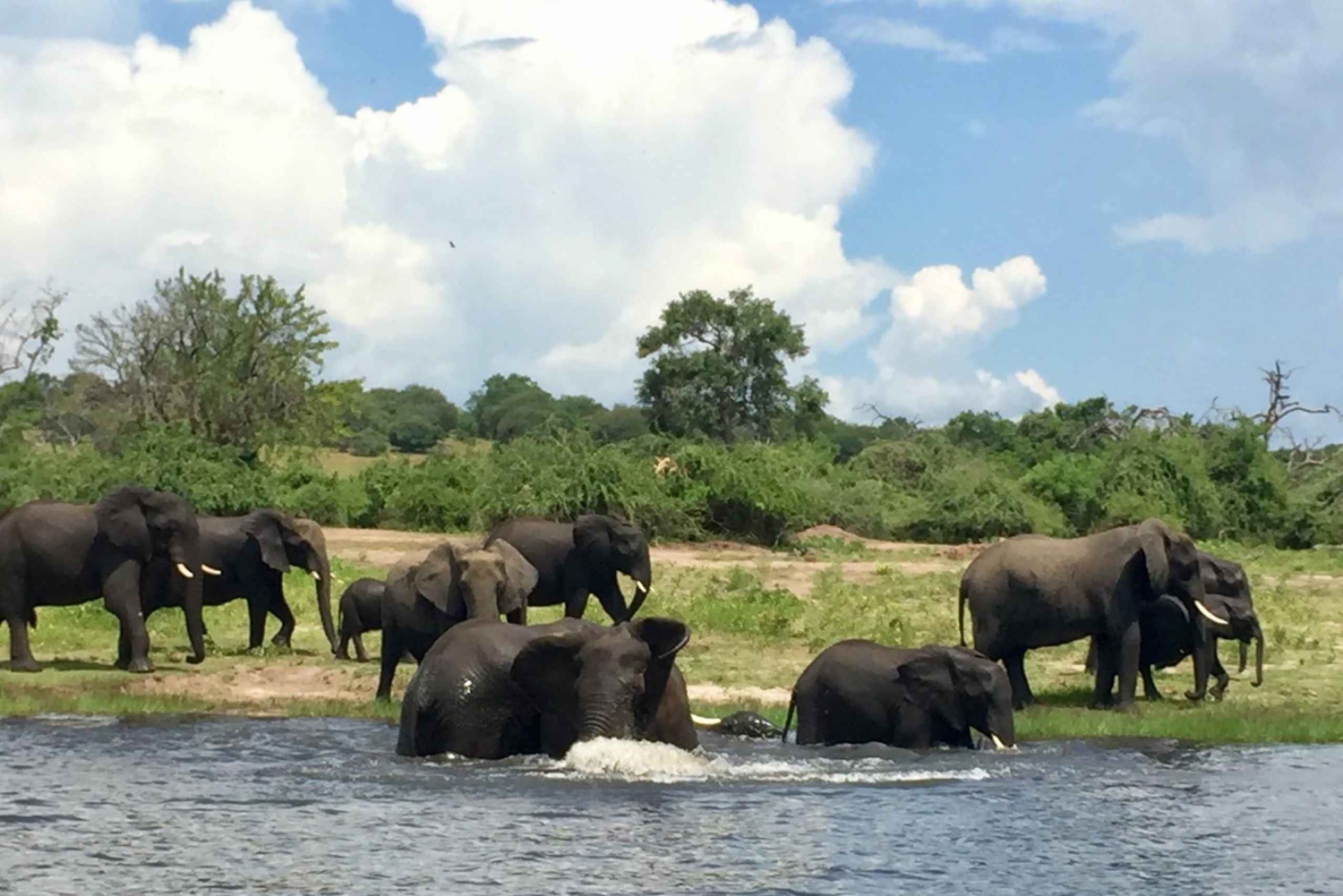 Dalle Cascate Vittoria al Parco Nazionale di Chobe, Avventura Safari