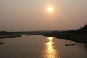 From Victoria Falls: Zambezi National Park Game Drive