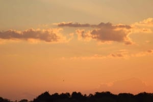 Fra Victoriafallene: Game Drive i Zambezi nasjonalpark