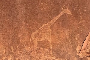 Windhoekista: 20 päivän opastettu majaretki Afrikkaan