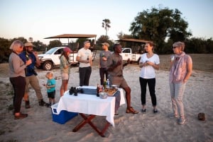 Ganztägige Safari-Abenteuer in Chobe von Victoria Falls aus