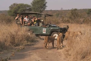 Ganztägige Safari-Abenteuer in Chobe von Victoria Falls aus