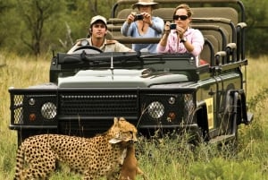 Full Day Safari Adventure in Chobe From Victoria Falls