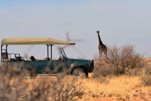 Full Day Safari Adventure in Chobe From Victoria Falls