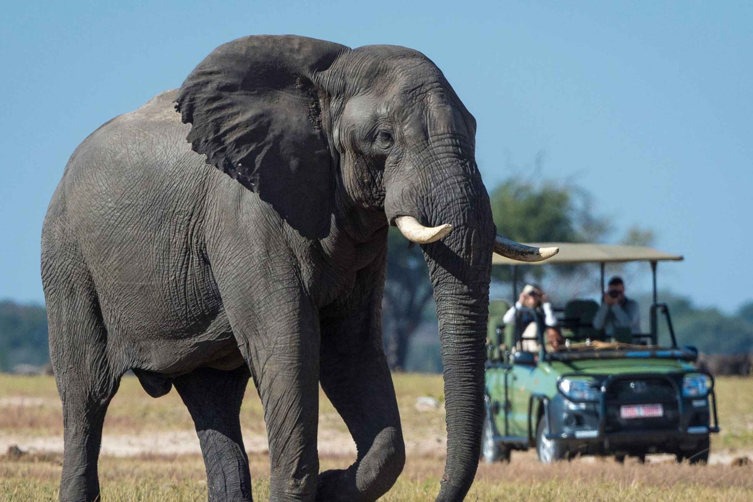 Safari en 4x4 aux chutes Victoria