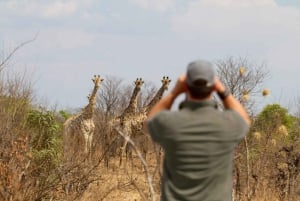 Safari -Cataratas Victoria, Parque Nacional Zambeze - VIATOR