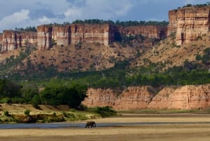 Gonarezhou Game Drive