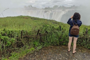 Visite guidée des chutes - côté zimbabwéen