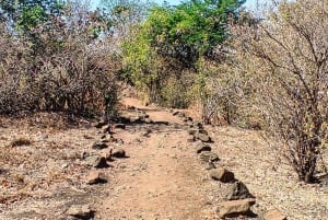 Guided Hike down the Zambezi Gorge