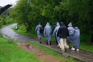 Guided Tour of the Falls ZIM side Wildlife Safari by Savanna