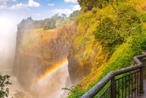 Guided Tour of the Falls ZIM side Wildlife Safari by Savanna