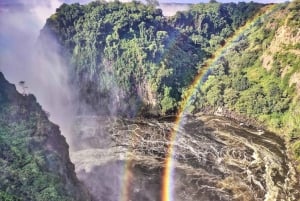 Guided Tour of the Falls ZIM side Wildlife Safari by Savanna